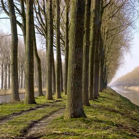 Daire Renovated Flat Near