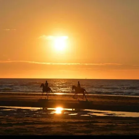 Renovated Flat Near *