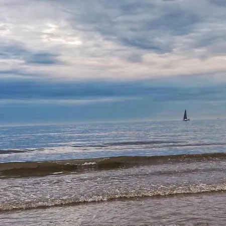 Renovated Flat Near Daire