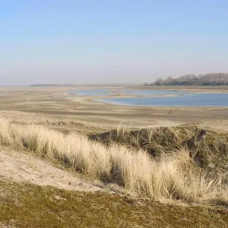 Apartman Renovated Flat Near *