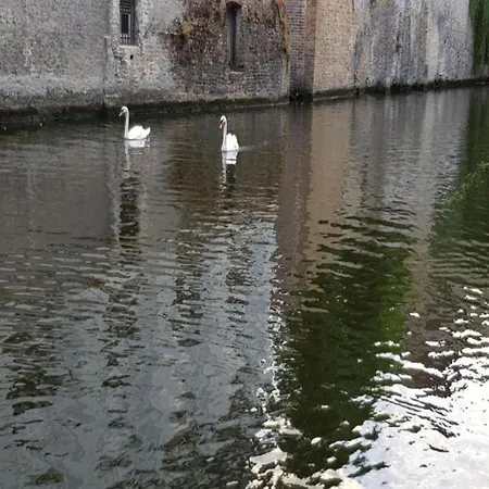 Renovated Flat Near *