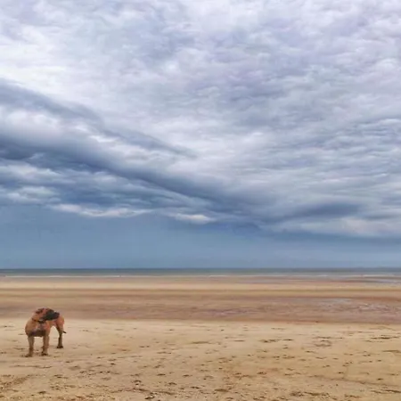 Renovated Flat Near Apartman *